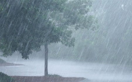 IMD forecast: ଆଇଏମ୍‌ଡିର ପୂର୍ବାନୁମାନ: ମେ ମାସରେ ସ୍ବାଭାବିକଠାରୁ ଅଧିକ ବର୍ଷା, ଓଡ଼ିଶା ସମେତ ୭ ରାଜ୍ୟରେ ଅଧିକ ଗ୍ରୀଷ୍ମ ପ୍ରବାହ