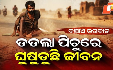 Special Story: Roadside Struggle! Helpless Man Crawls for Life