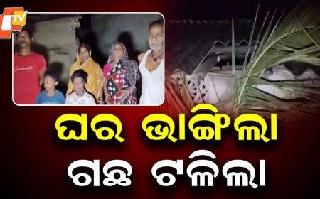 Kalabaisakhi Fury Wrecks Homes, Uproots Trees in Bhadrak & Pallahara